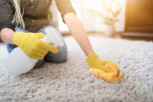 carpet cleaning